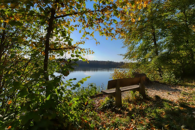 場景學習判 場景學習判