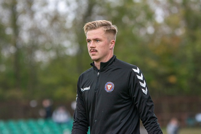 互补和风格 互补和风格