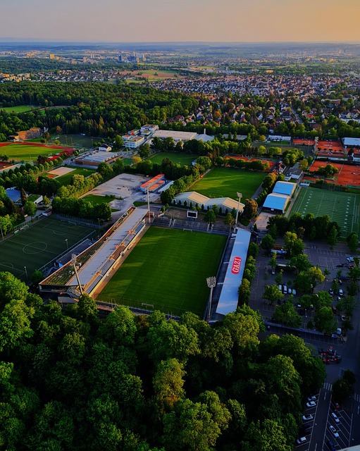 他的比赛总 他的比赛总