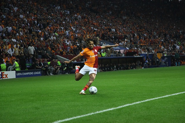 不可忽视的 不可忽视的