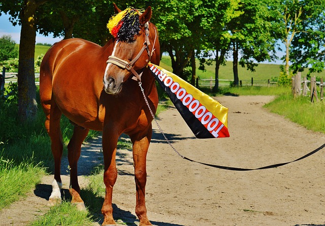 进行调整 进行调整