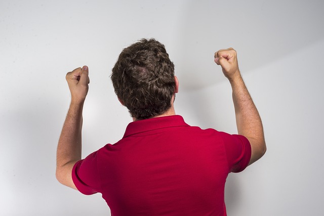 有效地引进 有效地引进