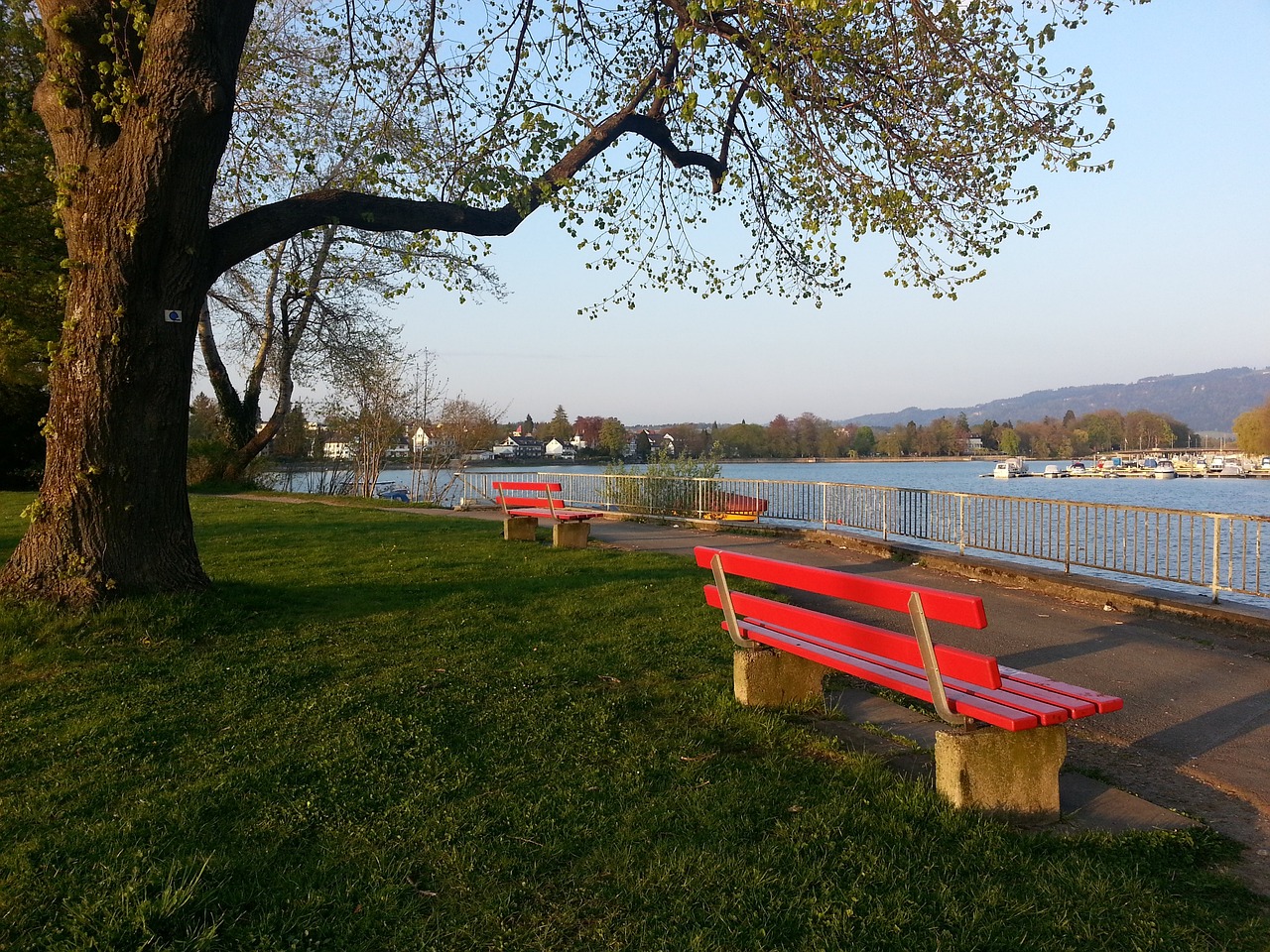 了有效的针 了有效的针