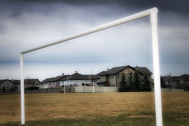 不容忽视的 不容忽视的