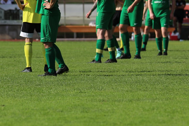 能力和领袖 能力和领袖