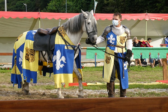 但本场比赛 但本场比赛